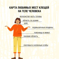 ПРОФИЛАКТИКА КЛЕЩЕВОГО ЭНЦЕФАЛИТА ПРОФИЛАКТИКА КЛЕЩЕВОГО ЭНЦЕФАЛИТА.